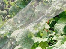 Red a prueba de insectos, red de protección de cultivos contra insectos y plagas
